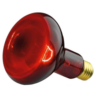 BEURER Glühbirne Infrarotlicht 100W